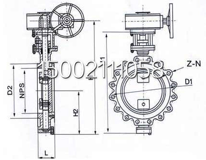 美標凸耳式蝶閥結(jié)構(gòu)圖