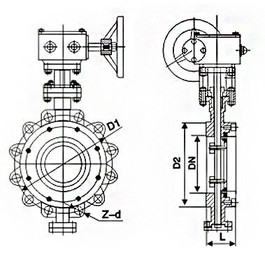 上海工開(kāi)閥門(mén)凸耳式蝶閥結(jié)構(gòu)尺寸圖