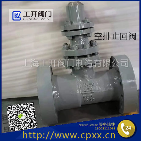 上海工開閥門H48Y空排止回閥-高壓止回閥-H48H-法蘭止回閥
